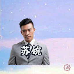 苏婉